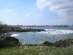 Entre Gijón y Monterey Bay